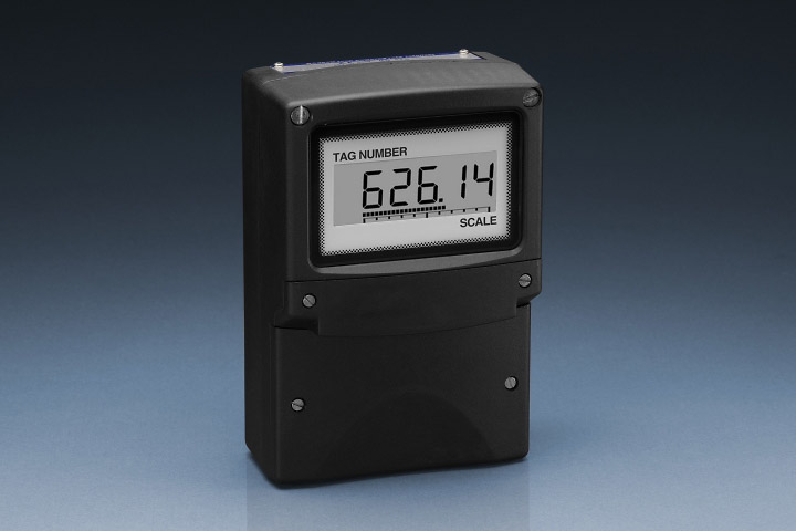 FOUNDATION™ fieldbus indicator